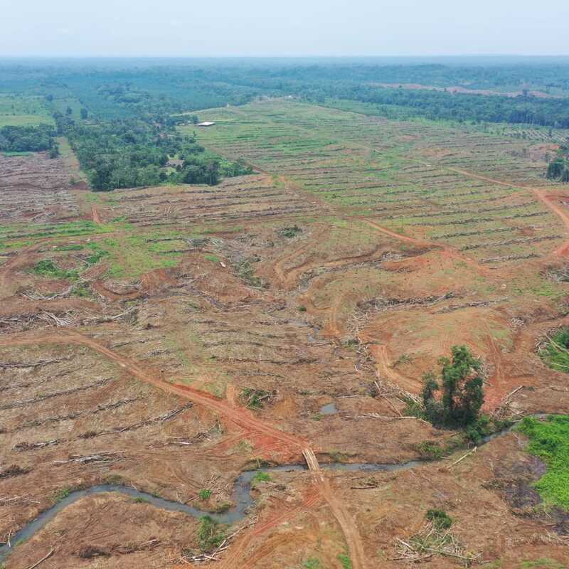 Acceso Viales y Colectores